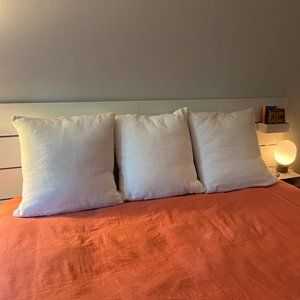 EUC euro Pottery Barn shams